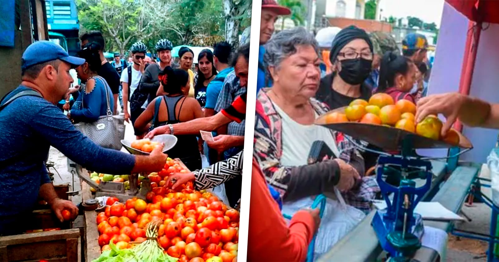 Realizarán Ferias Agropecuarias en Todos los Municipios de La Habana