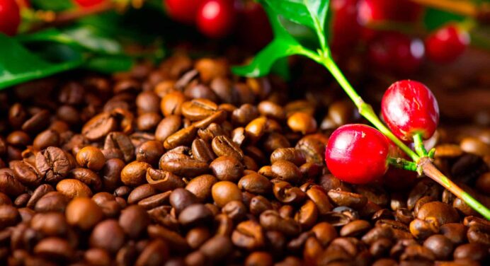 Reinicia la Producción Planta Torrefactora de Café de Villa Clara
