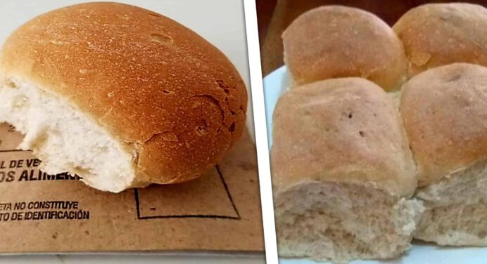 Reinició Producción de Harina Para el Pan de la Canasta Básica: ¿Cuándo Llegará a tu Provincia?