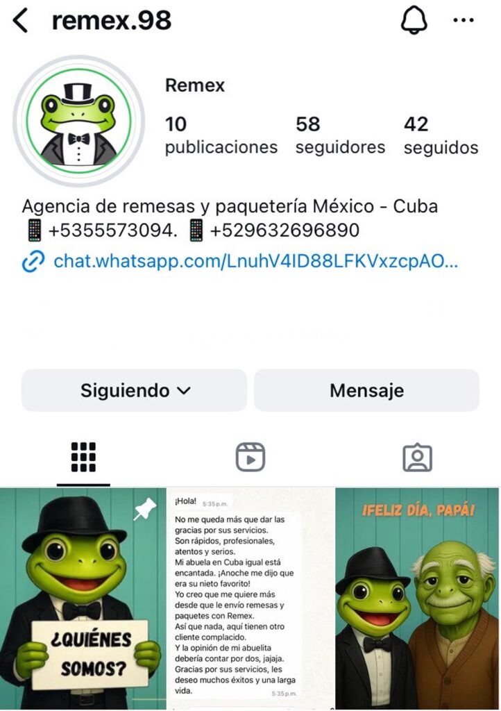 Perfil en Instagram de Remex