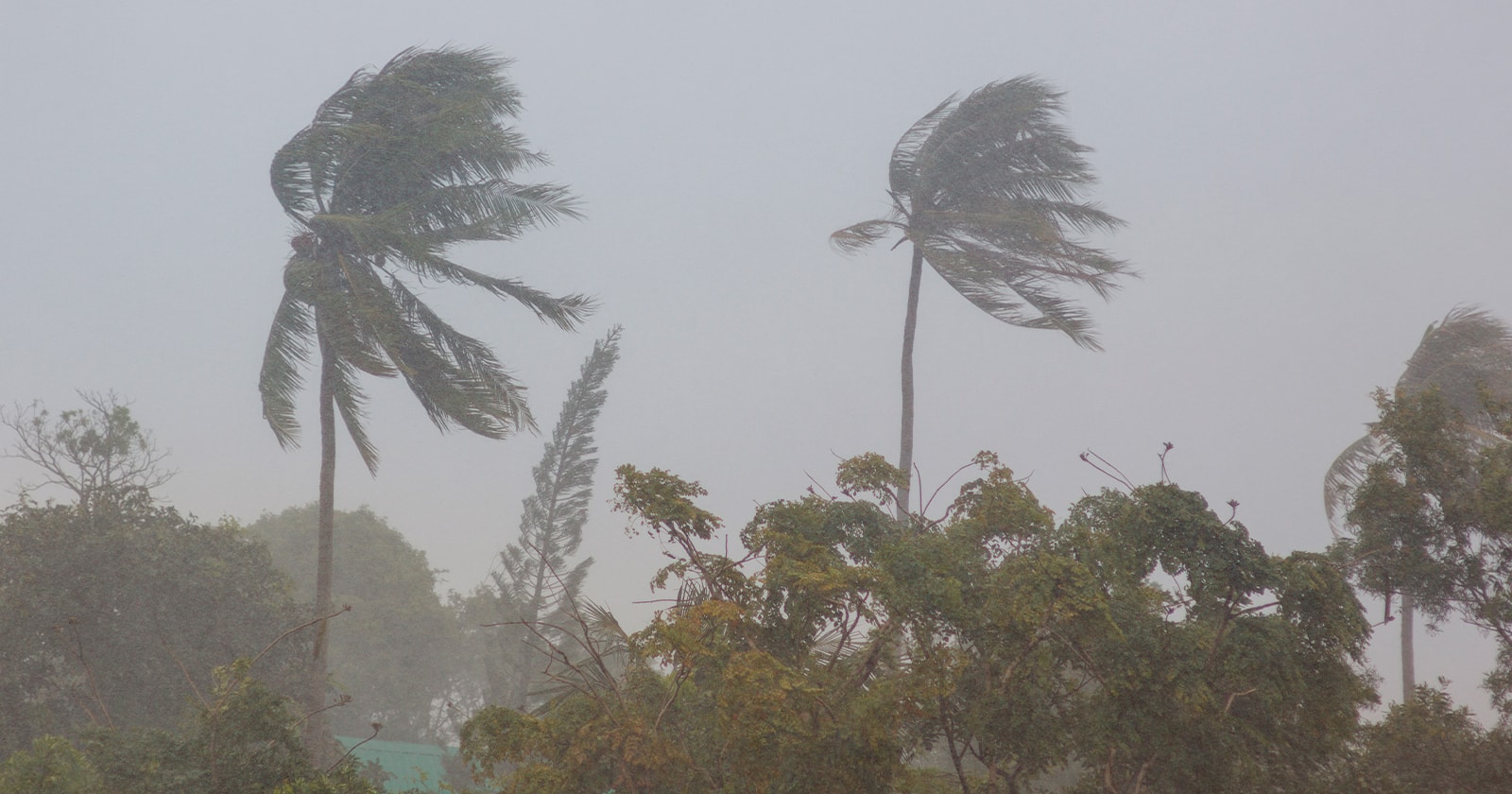 Reportan Afectaciones en La Habana por Condiciones Climáticas Adversas