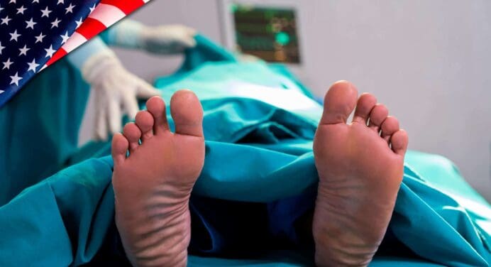 Reportan Primera Muerte por Gripe Aviar en EE. UU.: Todo lo que Debes Saber