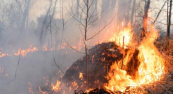 Se Mantienen las Labores para la Extinción del Gran Incendio en el Oriente de Cuba