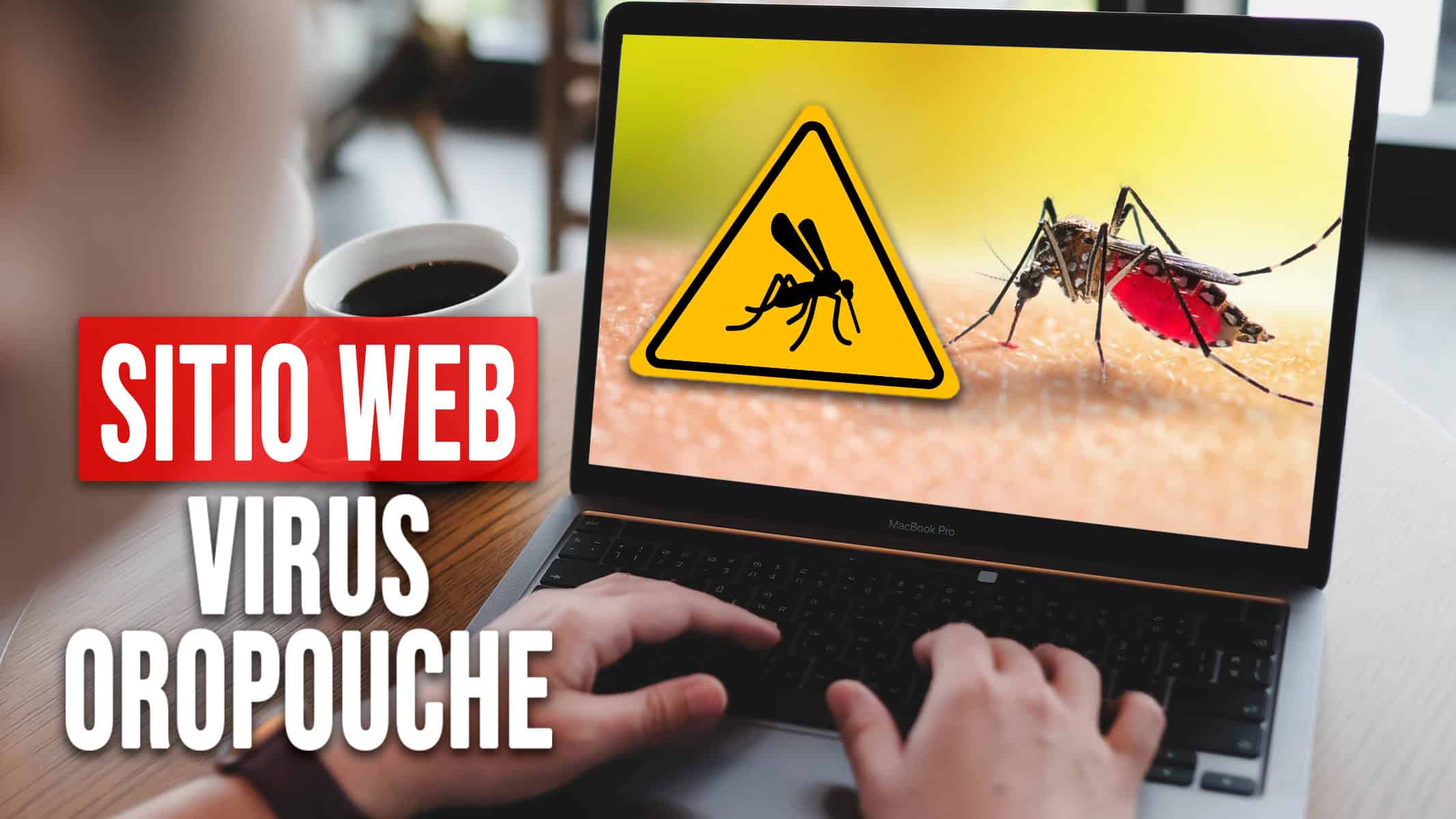 Crean en Cuba Sitio Web Especializado Sobre el Virus del Oropouche