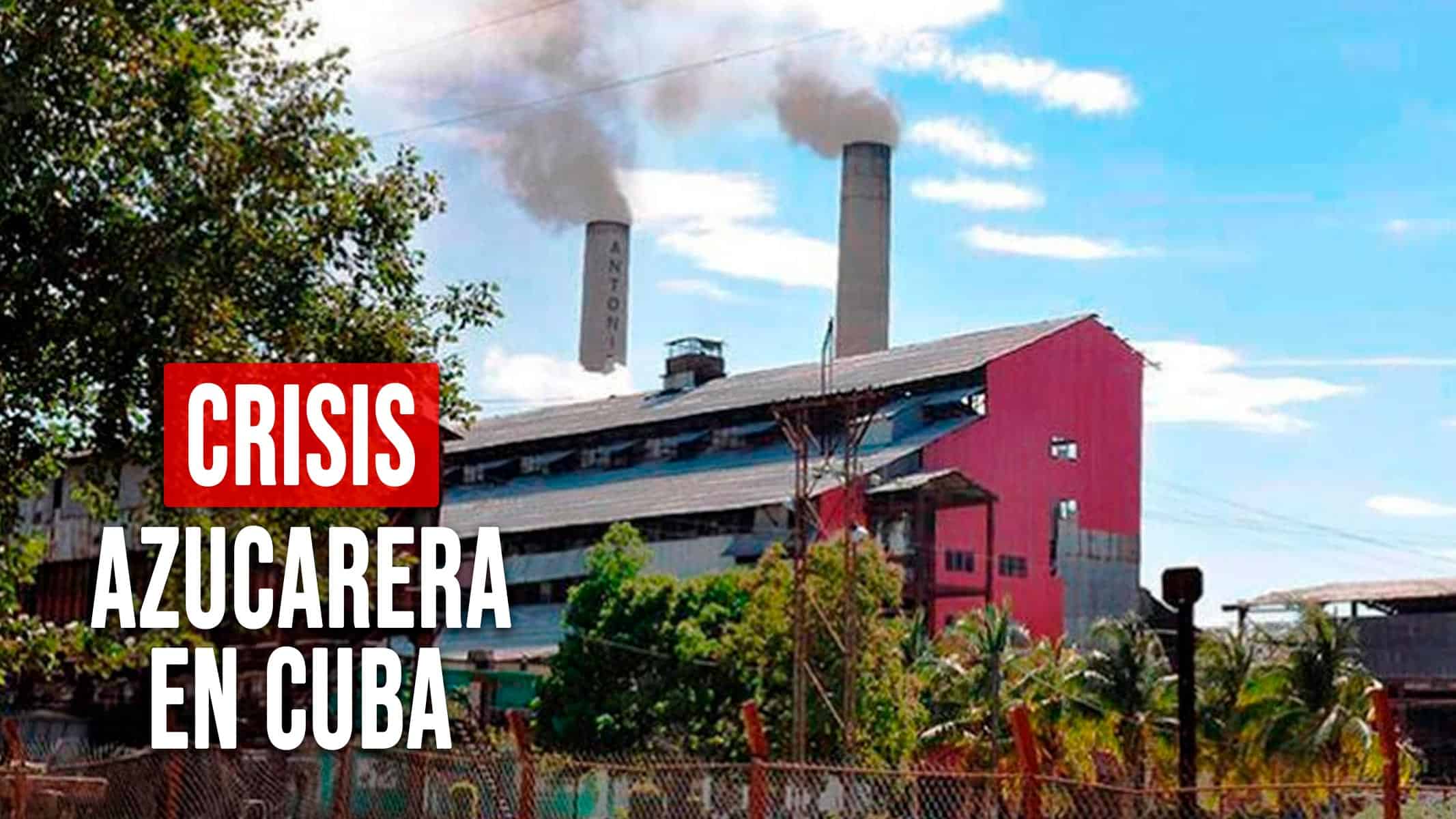 Crisis Azucarera en Cuba: Solo 15 Centrales Molerán en la Próxima Zafra