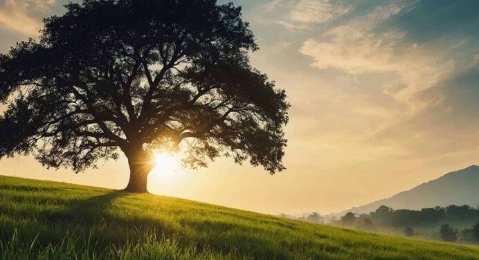 ¿Qué Es el Solsticio de Invierno y Por Qué Todos Hablan de Él?