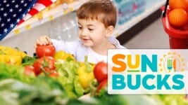 Summer EBT Para Familias Estadounidenses: ¿Quiénes Clasifican Para esa Ayuda?