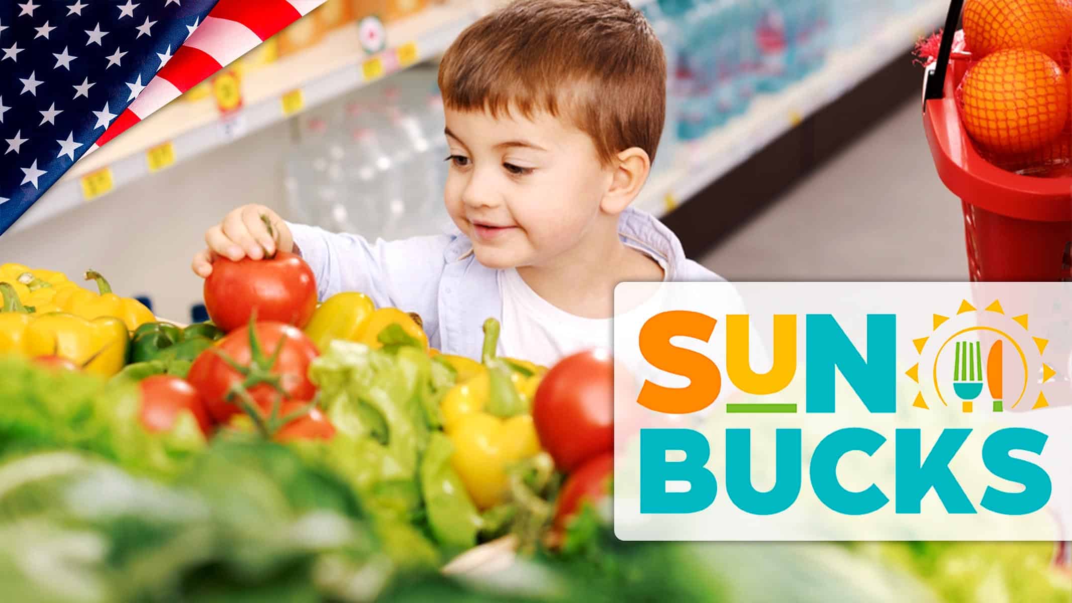 Summer EBT Para Familias Estadounidenses: ¿Quiénes Clasifican Para esa Ayuda?