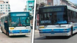 Suspensión del Transporte en La Habana: ¿Verdad o Fake News?
