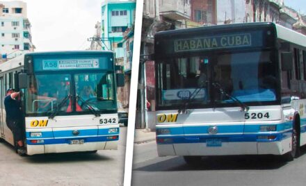 Suspensión del Transporte en La Habana: ¿Verdad o Fake News?
