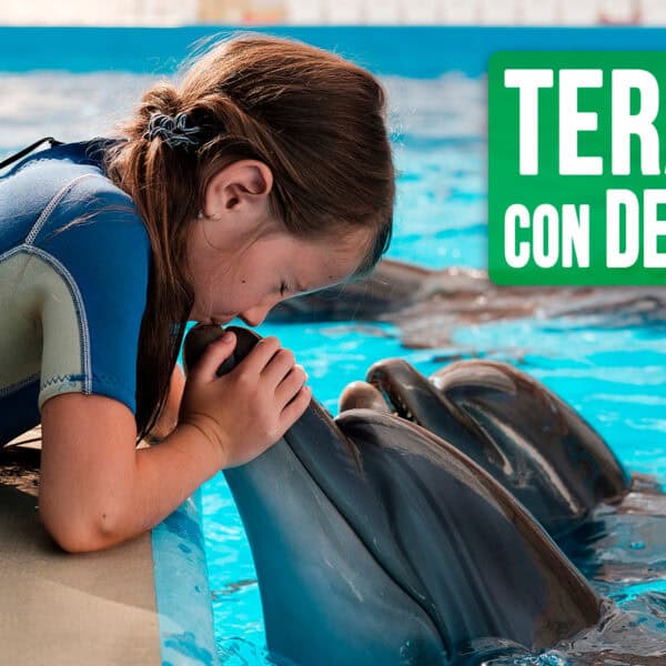 Terapia con Delfines en Cuba: Una Nueva Oferta Turística Para Niños con Autismo