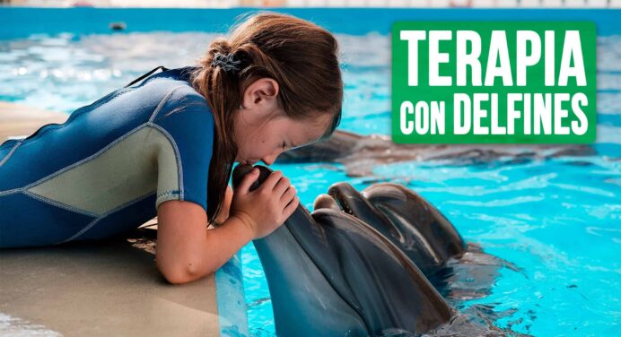 Terapia con Delfines en Cuba: Una Nueva Oferta Turística Para Niños con Autismo