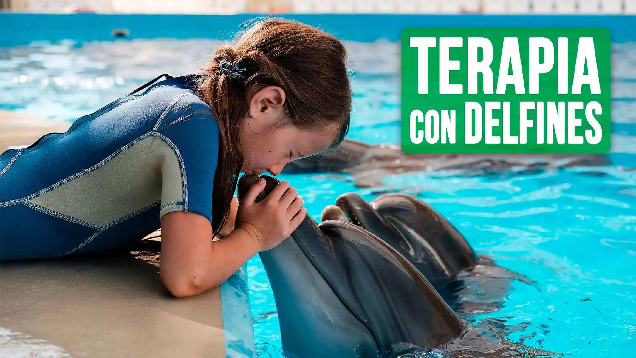 Terapia con Delfines en Cuba: Una Nueva Oferta Turística Para Niños con Autismo
