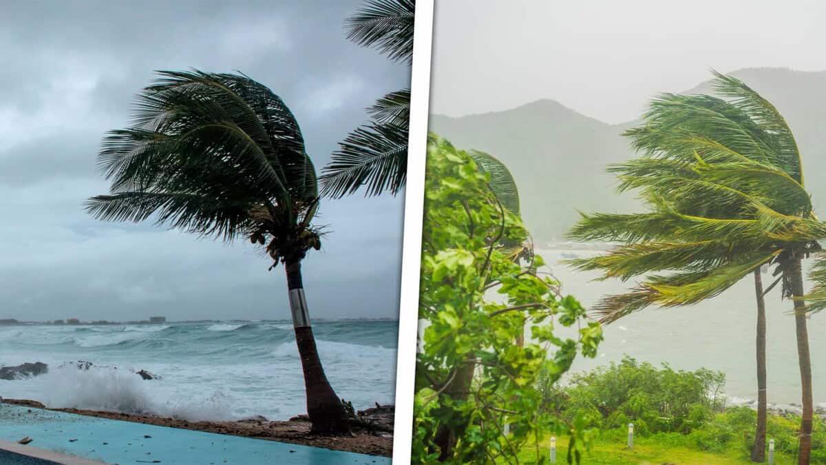 Tormenta Tropical Chantal Afectará EE.UU.: Estos son los Estados que Corren Peligro