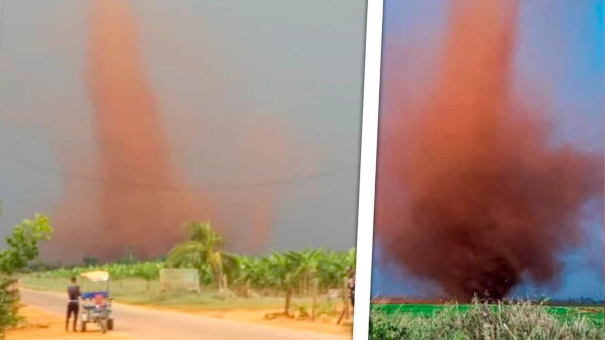 Tornado en Alquízar Provoca Daños a Viviendas y Red Eléctrica
