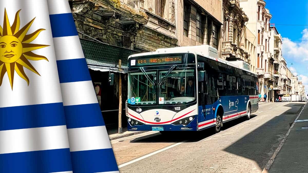 Transporte Público en Uruguay: Qué Deben Saber los Cubanos