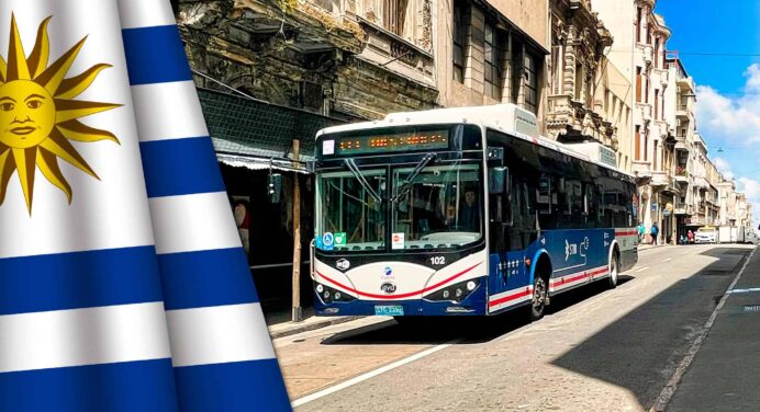 Transporte Público en Uruguay: Qué Deben Saber los Cubanos