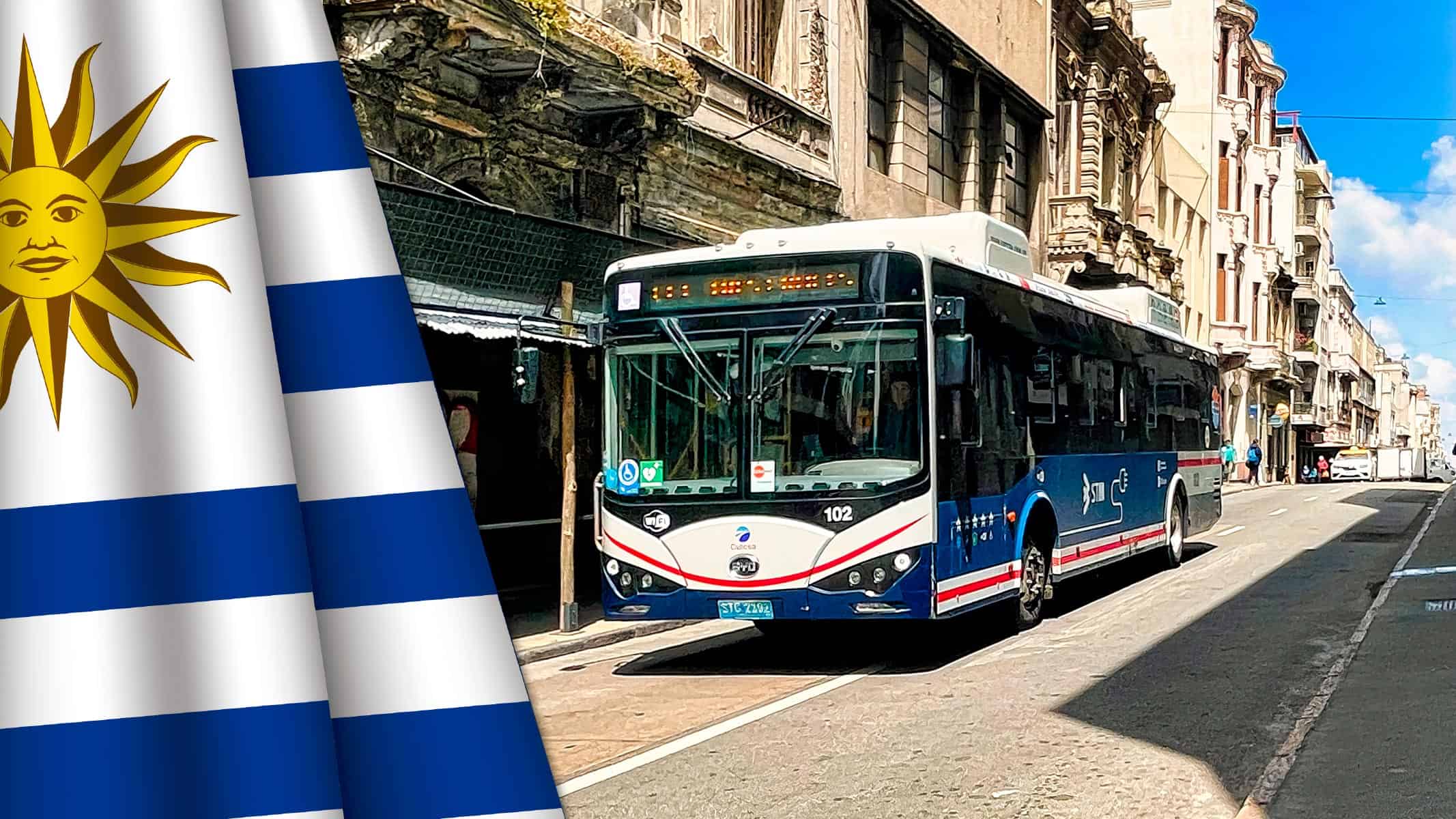 Transporte Público en Uruguay: Qué Deben Saber los Cubanos