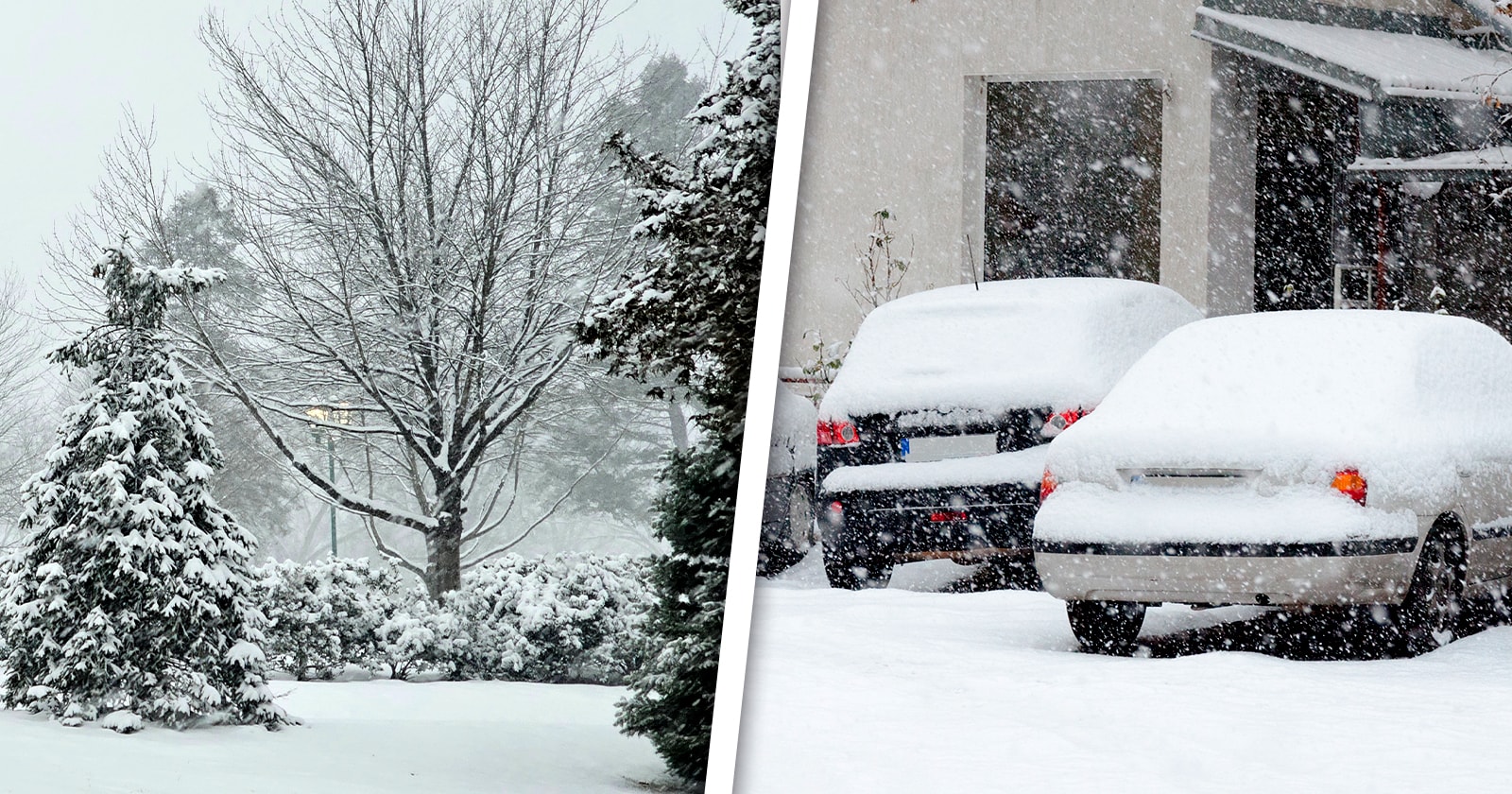 Tras la Tormenta Ártica de Este Fin de Semana en EE.UU ¿Habrá Variabilidad en el Comportamiento Climático en las Próximas Horas?