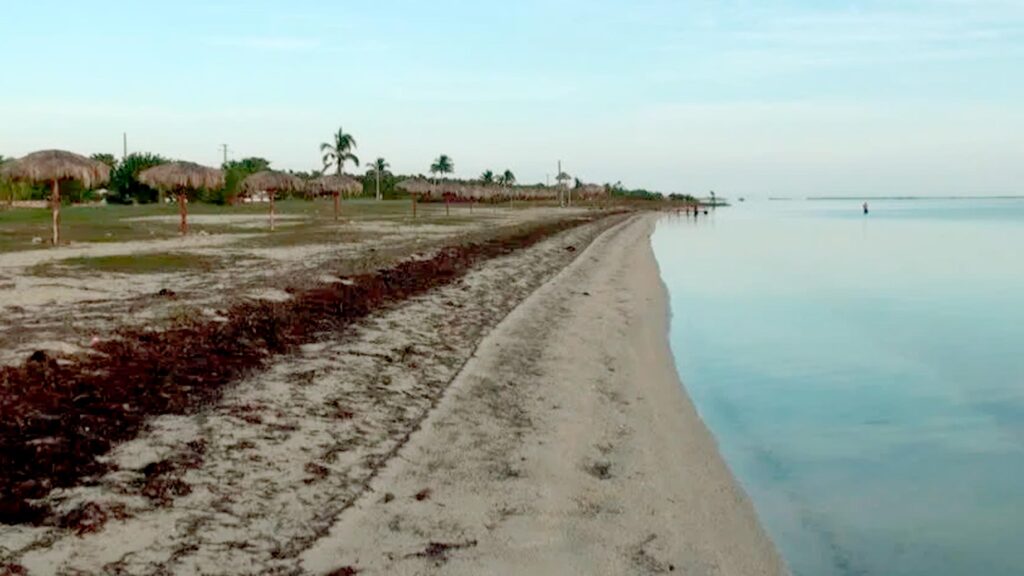 Ubicación exacta y cómo llegar a Playa El Salto