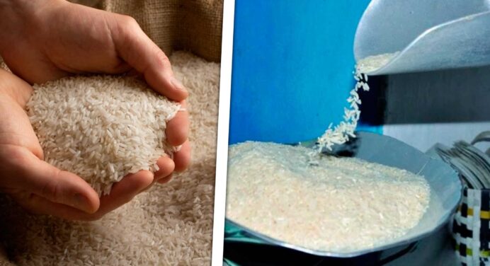 Venta de Arroz en Bodegas de Cuba: Actualización por Provincias