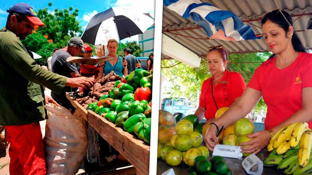 Más de 15 Puntos de Venta en La Habana para la Feria Agropecuaria del 8 de Marzo