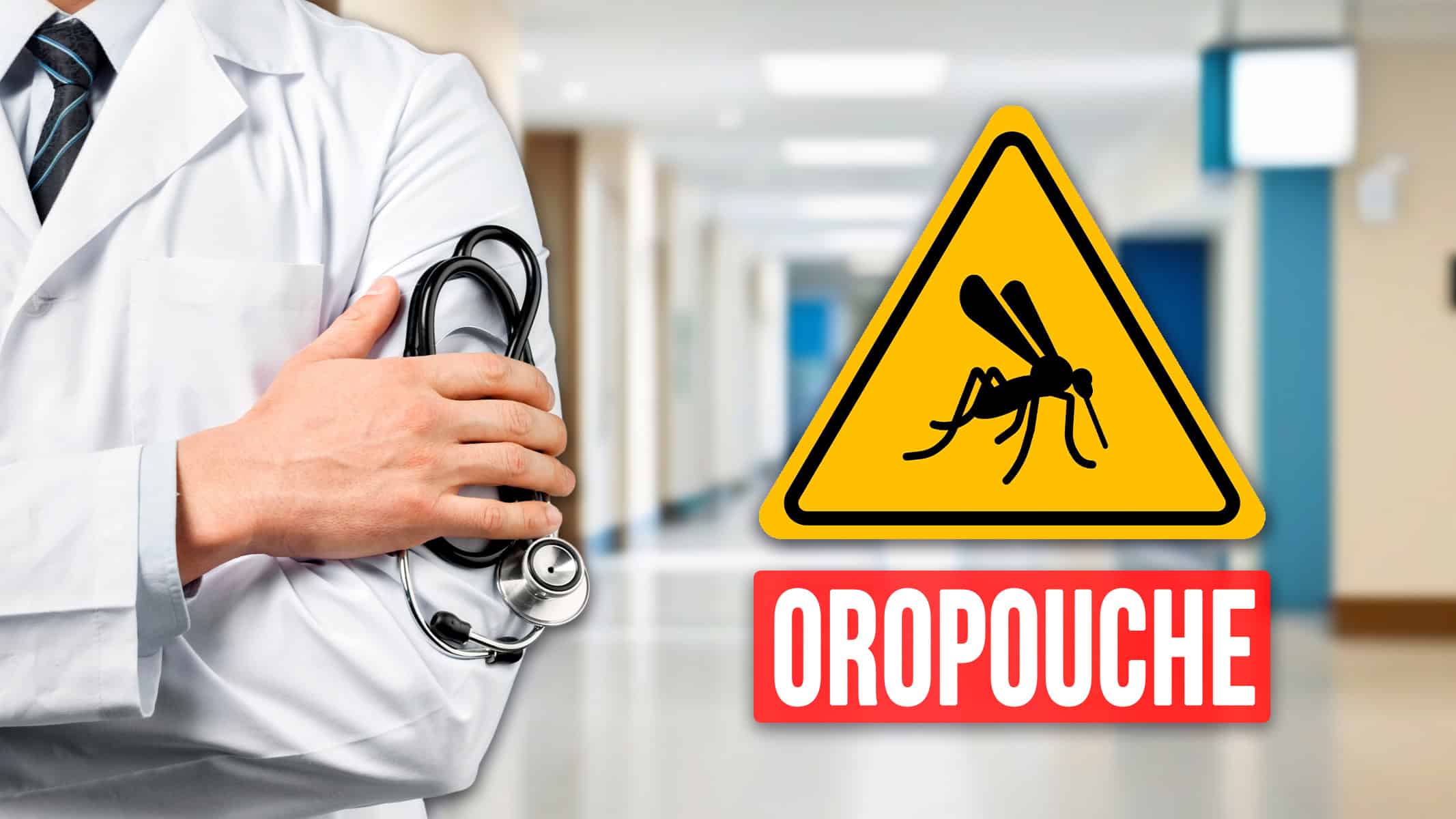 Virus Oropouche se Extiende en Cuba: Las Tunas Reporta Primeros Casos