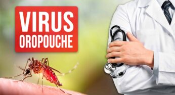 Virus de Oropouche: Confirman su Presencia en Nueve Provincias de Cuba