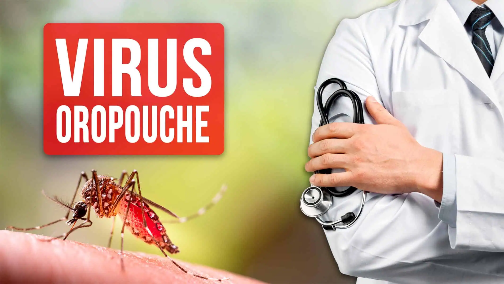 Virus de Oropouche: Confirman su Presencia en Nueve Provincias de Cuba