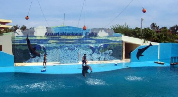 Acuario Nacional de Cuba