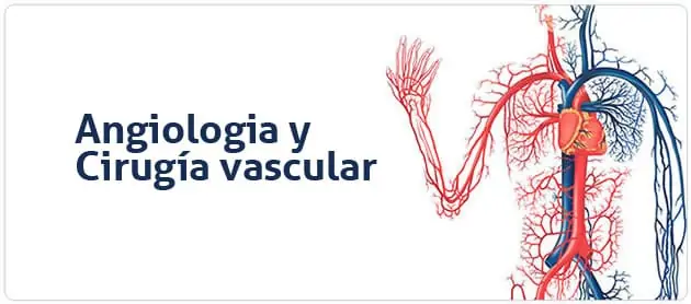 Instituto de Angiología y Cirugía Vascular