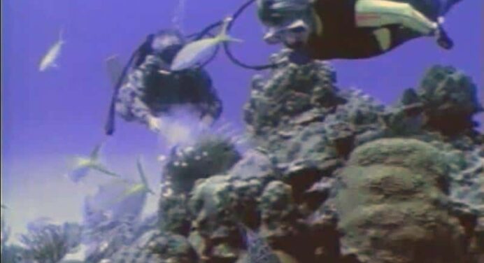 Centro Internacional de Buceo María La Gorda