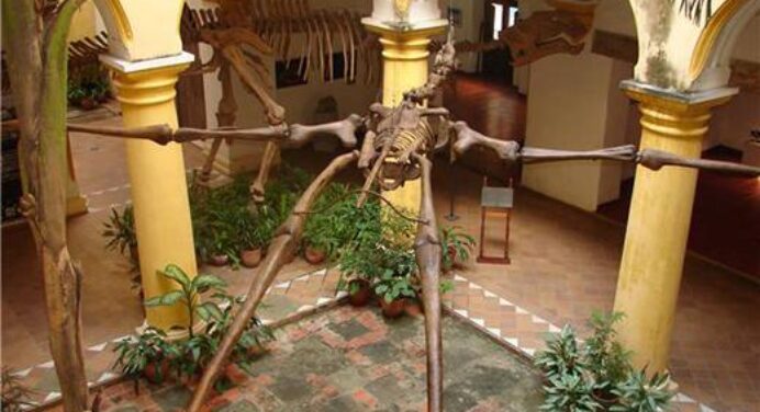 Museo Alejandro de Humbold