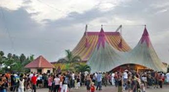 Circuba 2014 en La Habana