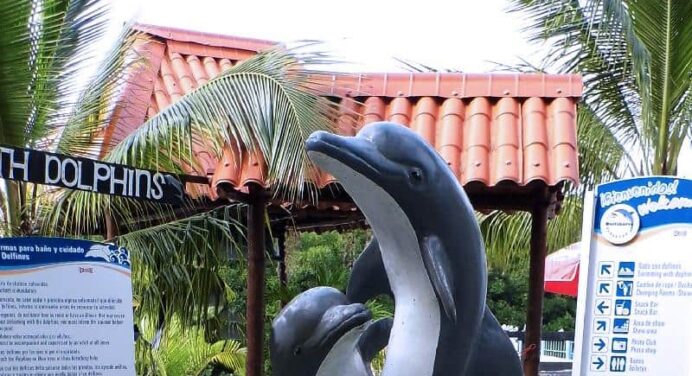 Delfinario de Varadero