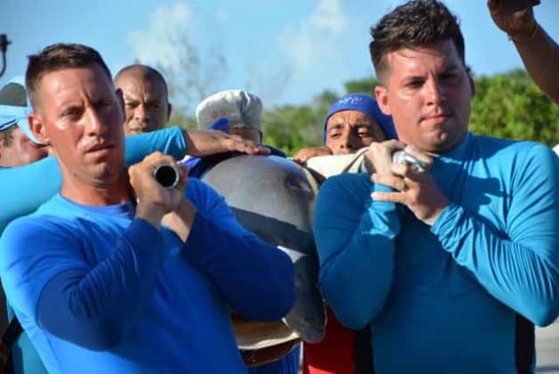 Imágenes de Evacuación de los Delfines de la Cayeria Norte de Cuba