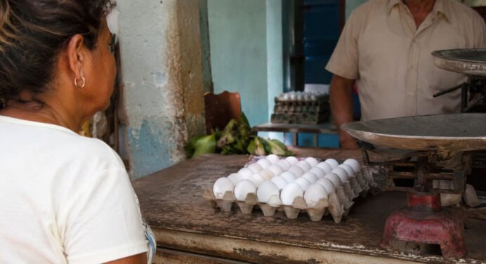 Precio de los Huevos en Cuba se Dispara: Cuánto Cuesta un Cartón y Por qué Está tan Caro