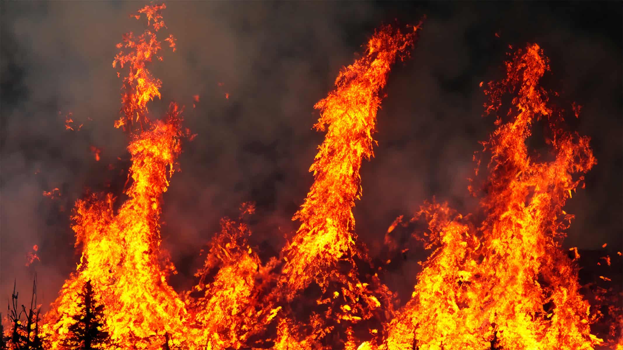 Intensas llamas de un incendio forestal en Pacific Palisades, impulsado por los fuertes vientos de Santa Ana.