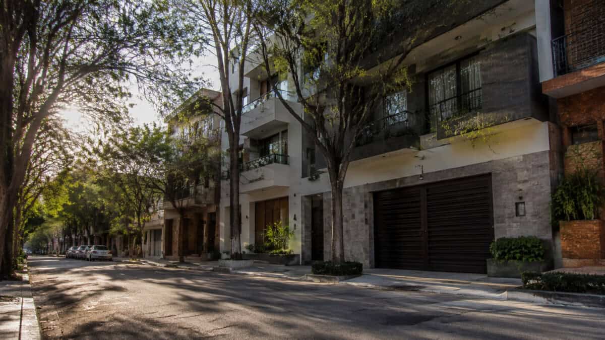Calle arbolada con edificios residenciales contemporáneos en México, sin personas y con luz natural de mañana.