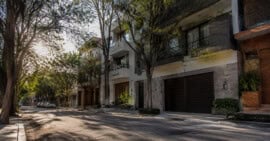 Calle arbolada con edificios residenciales contemporáneos en México, sin personas y con luz natural de mañana.