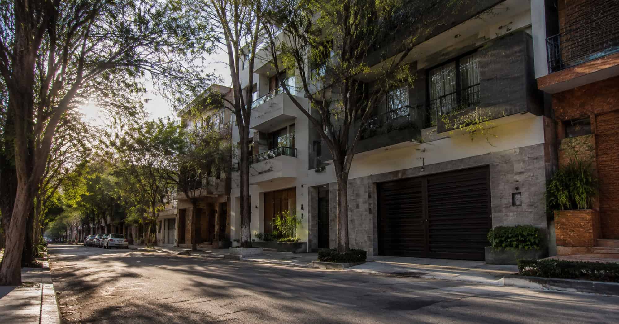 Calle arbolada con edificios residenciales contemporáneos en México, sin personas y con luz natural de mañana.