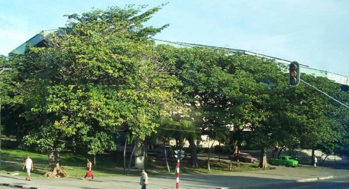 Sala Polivalente Ramón Fonst