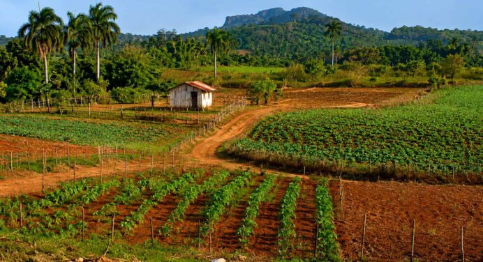 Nueva Ley de Tierras en Cuba: Estos son los Principales Cambios Aprobados