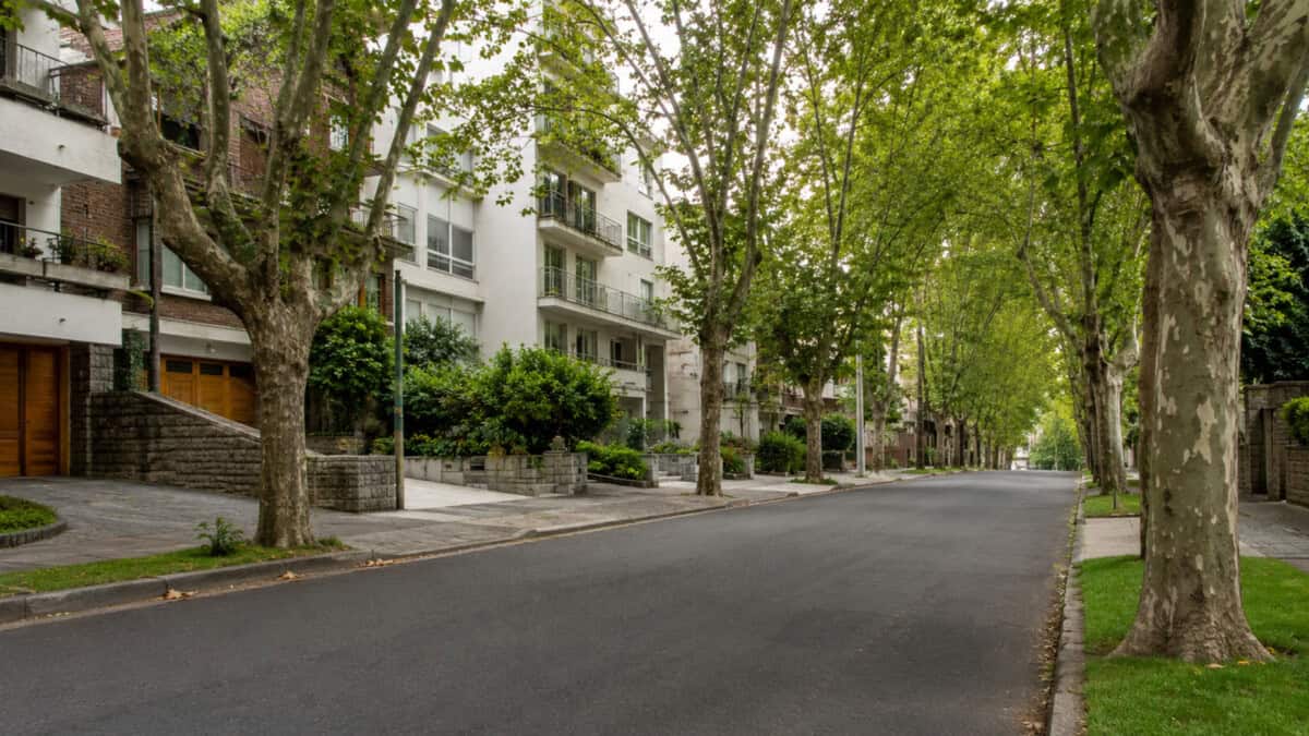 Calle arbolada sin personas, con edificios residenciales y aceras ajardinadas, inspirada en un barrio urbano de Uruguay.