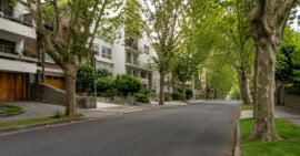 Calle arbolada sin personas, con edificios residenciales y aceras ajardinadas, inspirada en un barrio urbano de Uruguay.