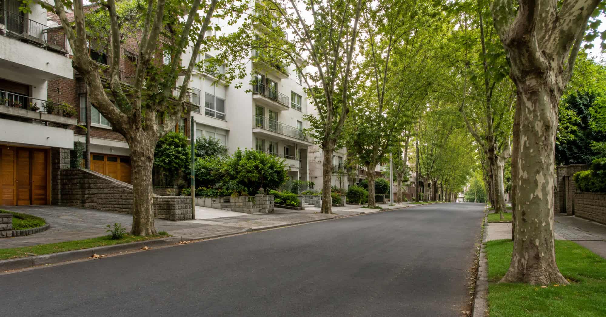 Calle arbolada sin personas, con edificios residenciales y aceras ajardinadas, inspirada en un barrio urbano de Uruguay.