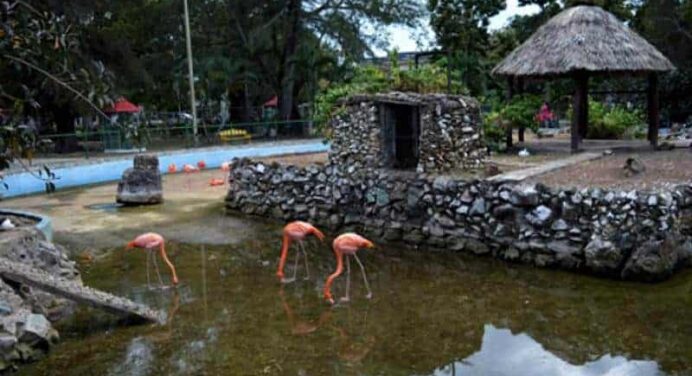 Parque Zoológico de Camagüey
