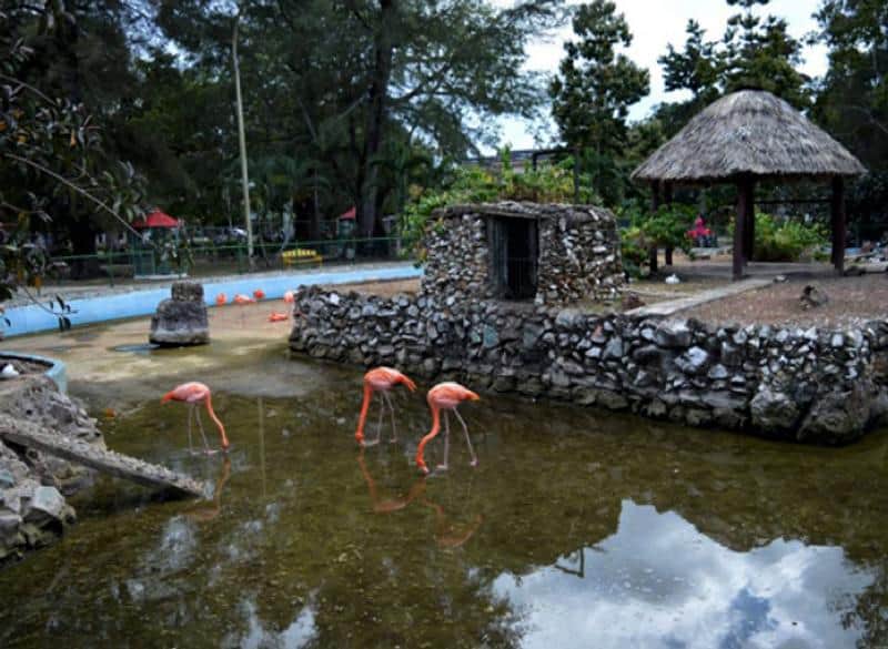 Parque Zoológico de Camagüey